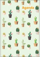 Dayliner DL6AG-COFA5HE-CC Határidőnapló colors a5 heti, fehér lapokkal cactus  2026. kép