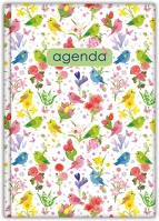 Dayliner DL6AG-COFA5HE-NRZO Határidőnapló colors a5 heti, fehér lapokkal nature zöld  2026. kép