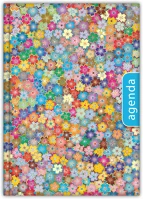 Dayliner DL6AG-COFA5NA-SPKK Határidőnapló colors a5 napi, fehér lapokkal spring kék  2026. kép