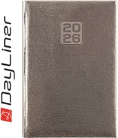 Dayliner DL6AG-MRFA5NA-EZ Határidőnapló mirror a5 napi, fehér lapokkal ezüst  2026. kép