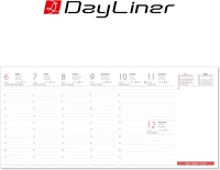 Dayliner DL6AS-CUFTO Asztali naptár club 320 x 150 mm, fehér lapokkal club tömb  2026. kép