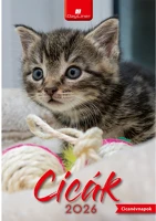 Dayliner DL6FA-CIB4 Falinaptár képes 230 x 330 mm, fehér lapokkal cicák  2026. kép