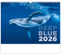 Dayliner DL6FA-H136 Falinaptár képes 315 × 450 mm deep blue  2026. kép