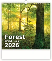 Dayliner DL6FA-H171 Falinaptár képes 300 x 300 mm, fehér lapokkal forest  2026. kép