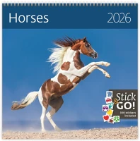 Dayliner DL6FA-HLP03 Falinaptár képes 300 x 300 mm, fehér lapokkal horses  2026. kép