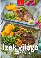 Dayliner DL6FA-IVB4 Falinaptár képes 230 x 330 mm, fehér lapokkal ízek világa  2026. kép