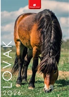 Dayliner DL6FA-LOB4 Falinaptár képes 230 x 330 mm, fehér lapokkal lovak  2026. kép