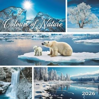 Dayliner DL6FA-S15 Falinaptár képes 330 x 330 mm, fehér lapokkal colours of nature  2026. kép