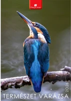 Dayliner DL6FA-TVB4 Falinaptár képes 230 x 330 mm, fehér lapokkal természet varázsa  2026. kép