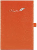 Dayliner DLDTN-CHFA5TN-NA Tárgyalási napló chameleon a5 napló, fehér lapokkal narancs  2026. kép