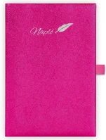 Dayliner DLDTN-CHFA5TN-PN Tárgyalási napló chameleon a5 napló, fehér lapokkal pink  2026. kép