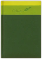 Dayliner DLDTN-TIFA5TN-ZO Tárgyalási napló trinity a5 napló, fehér lapokkal zöld  2026. kép