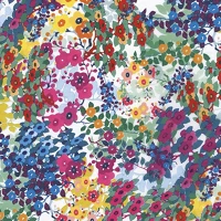 Décopatch FDA801C Kreatív decoupage papír clairefontaine  30x40 cm ref.801 kép