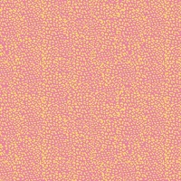 Décopatch FDA839C Kreatív decoupage papír clairefontaine  30x40 cm ref.839 kép