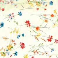 Décopatch FDA851C Kreatív decoupage papír clairefontaine  30x40 cm ref.851 kép