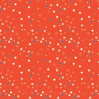 Décopatch FDA868C Kreatív decoupage papír clairefontaine  30x40 cm ref.868 kép