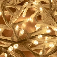 Dekorációs termékek DLI 200/WW LED-es fényfüzér, 10 m / 200 db melegfehér LED, állófényű, fehér kép