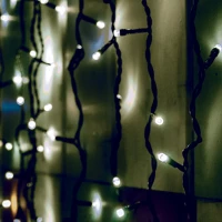 Dekorációs termékek KSF 204/WH 2x2 m / 204 db hidegfehér LED, állófényű, fekete vezeték kép