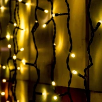 Dekorációs termékek KSF 204/WW 2x2 m / 204 db melegfehér LED, állófényű, fekete vezeték kép