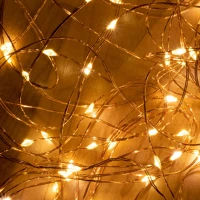 Dekorációs termékek ML 200/WW 200 db melegfehér micro LED, 10 ágú, vékony, ezüstszínű vezeték kép