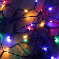 Dekorációs termékek MLC 58/M mini LED-es fényfüzér, 4,9 m / 50 db színes LED, 8 fényprogram, zöld kép