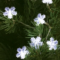 Dekorációs termékek MLC_10_H Led-s izzósor, hókristály kép