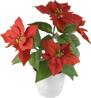 Dekorációs termékek SCF 5 Home scf 5 mikulásvirág, 5 db led, beltéri kép