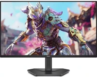 Dell 24