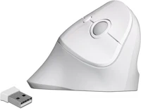 Delock 12596 Ergonómikus, vezetéknélküli függoleges usb egér kép