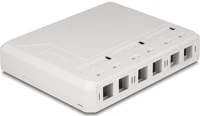 Delock 67052 Keystone felületre szerelt doboz 6 porttal fehér kép