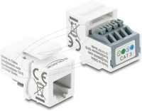 Delock 90993 Keystone modul rj11 aljzat 4 tűs sorkapocs, fehér kép