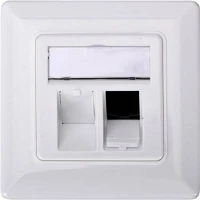Digitus DN-93801-1 FEHÉR Keystone tartó 2-szeres   fehér kép