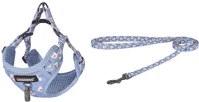 Dogness DOG SET BLUE Walking set leash 1,5m+harness for dog (light blue) kép