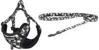 Dogness DOG SET DAISY Walking set leash 1,5m+harness for dog (multicolor) kép
