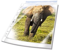 Durable A/4 60 MIKRONC 100 Lefűzhető genotherm  pp a/4 60 mikronc 100 db/csomag kép