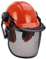 Einhell BG-SH 1 Erdészeti védősisak kép