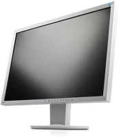 Eizo 24,1"; 24,1