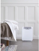 Electrolux EAP450 Légtisztító kép