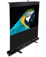 Elite screens F72NWV S 72