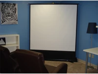 Elite screens F84XWH2 s 84