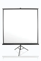 Elite screens T136UWS1 S 136