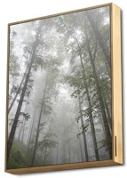 Energy sistem 44753 Hangszóró bt - frame speaker forest (bt5.0, 2,1; 50w, fm, akku, 20 óra, usb, microsd) kép