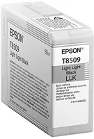 Epson T850900 Patron light light black kép