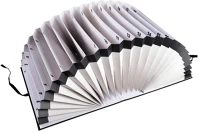 Exacompta 1-31 Előrendező 1-31 karton számozott tasakos  61650b fekete kép