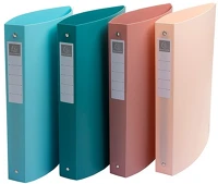 Exacompta 51470E Gyűrűs könyv  skandi a/4 4 gyűrűs 40 mm gerinccel pp vegyes színek kép