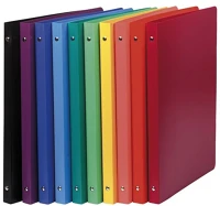 Exacompta 54192E Gyűrűs könyv  opaque a/4 2 gyűrűs 20 mm gerinccel pp kék kép