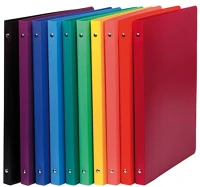 Exacompta 54199E Gyűrűs könyv  opaque a/4 2 gyűrűs 20 mm gerinccel pp vegyes színek kép