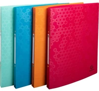 Exacompta 54210E Gyűrűs könyv  maia a/4 2 gyűrűs 20 mm gerinccel pp vegyes színek kép