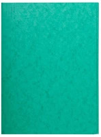 Exacompta 56415E Pólyás iratgyűjtő  a/4 prespán zöld kép