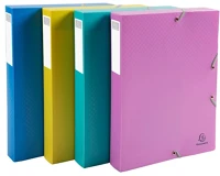 Exacompta 59190E Füzetbox pp  forever young a/4 40 mm gerinccel vegyes színek kép